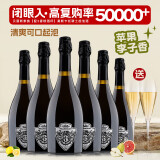 贝丽斯家族【配2香槟酒杯】莫斯卡托骑士起泡酒葡萄酒红酒果味酒精致好礼 整箱6*750ml