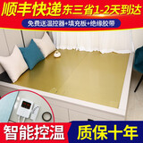 三煦（SANXU） 三煦电热炕板无辐射电热板韩国电热板炕汗蒸瑜伽高温电热板 三煦无磁界1.5*0.6