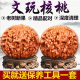 山中玉文玩核桃手把件官帽四座楼狮子头精品手玩手球盘核头送生日礼物 初级【37-38mm白狮子】1对+盘玩工具