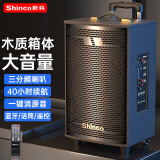 新科（Shinco）广场舞音响户外拉杆音箱大功率家用K歌蓝牙移动大音量扩音无线话筒摆摊低音炮 8吋无咪