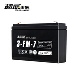 超威（CHILWEE）6V7Ah/配充电器电瓶UPS儿童电动三轮摩托汽车通用6V蓄电池3FM7