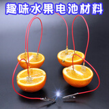 博教（BOJIAO）【全网低价】水果电池材料包diy科学实验套装幼儿园小学电学发电装置实验器材原电池科技小制作