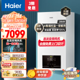 海尔（Haier）变频一级能效冷凝燃气壁挂炉天然气采暖炉热水器板换式地暖暖气片五点恒温LL1PBD20-JN7(T)U1