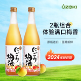 大关日本原装进口洋酒 梅酒 梅子酒 果酒甜酒大关牌 完熟浊梅酒720ml*2瓶