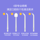 贝医生(DR·BEI) 冲牙器自营便携家用洗牙器洁牙器水牙线清洁口腔牙套清洗牙石送男友礼物 NEW·樱雪晴空F3s【内配4喷嘴】