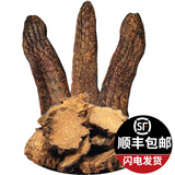 尧虎 非泡酒中药材三君子三枝九叶草泡酒料非野生 肉苁蓉250g切片装 男性滋补泡酒材料泡茶煲汤(可切片可打粉)