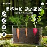 弥鹿（MiDeer）阳光房种植菜儿童植物观察种植材料小小植物观察员