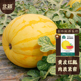 北蔬 金玲珑西瓜种子种苗黄皮红肉西瓜水果种籽 金玲珑西瓜种子约20粒