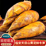 京地达正宗临安天目山现挖新鲜冬笋3斤装单果4-8两笋子竹笋新鲜源头直发