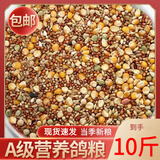 鸽粮鸽子粮食饲料保健砂批发营养蒜味高钙补钙鸟红土贝壳颗粒幼鸽 营养鸽粮【有玉米】10斤