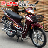 五羊弯梁摩托车110 国四电喷可上牌泰本田男女外卖燃油踏板助力车 其他定制 请咨询客服后 再下单 国四【免费提供上牌资料】