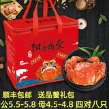 【活蟹】阳澄靖壹大闸蟹 现货鲜活大螃蟹公母蟹 海鲜水产生鲜礼盒 公5.5-5.8两母4.5-4.8两4对8只