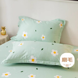 艾薇水洗棉磨毛枕头套一对枕芯套枕套 小香绿 48*74cm