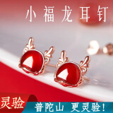 须橘生日招财耳钉女士轻奢小众设计高级感耳环女生养耳洞本命年耳饰女 小财龙耳钉G152-一对