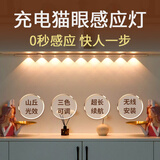 智特（ZT）智能充电小山丘楼道无线橱柜带鞋柜灯酒柜家用厨房玄关人体感应灯 【铝材银】60CM-感应+三色无极+5灯珠