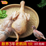 桃李旺（taoliwang） 鹧鸪鸟肉 新鲜飞龙肉现杀品质农家散养老鹧鸪肉生鲜鸠鸟石呱呱鸡 【1只】大鹧鸪