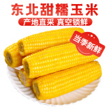 莲山九鲜新东北玉米鲜嫩黏甜糯香甜新鲜苞米玉米棒真空包装早餐粗粮 200g*8支装黄色玉米