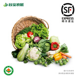 谷宝农匠生态蔬菜鲜享套餐6斤6-9种无激素化肥农残现摘现发顺丰空运