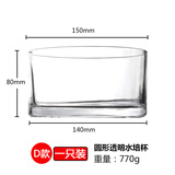 OIMG郁金香水培容器水培玻璃花盆郁金香水养花瓶水仙绿萝风信子植物透 8cm*15cm圆形 大