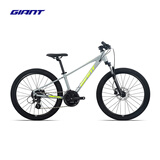 捷安特（GIANT）XTC 24-D 1铝合金24寸24速油碟青少年山地自行车 浅铁灰 24×12 建议130-150cm