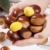 绿鲜森板栗新鲜丹东野生现摘应季蔬菜毛栗子 2.5kg 精选大果