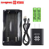 石井（SHIJING）水平仪座充电器激光头玻璃窗罩锂电池卡扣螺丝上墙支架遥控器配件 充电器+电池2节