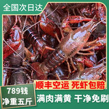 湖北潜江自产自销清水稻田鲜活小龙虾5斤装大虾超大（干净免刷） 6789大号五斤（一斤大概13-14）