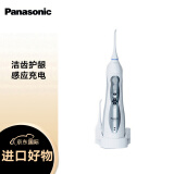松下（Panasonic）冲牙器 洗牙器 水牙线 洁牙器全身水洗 四档冲洗模式 EW-1411