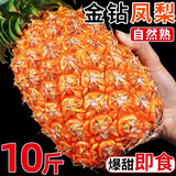 海南金钻凤梨新鲜10斤正宗菠萝整箱新鲜水果风梨当季香水菠萝特产 净重3~3.5斤