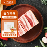 HUADONG巴西进口五花肉1kg 冷冻带皮五花肉条 猪五花烤肉  生鲜