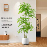 未欧南天竹仿真绿植盆栽高端轻奢室内客厅装饰摆件大型造景落地假花树 5杆南天竹+轻奢花盆 220cm