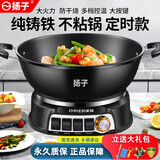 扬子电炒锅多功能家用大容量铸铁电热锅电炒菜锅爆炒一体式大功率电饭锅电煮锅 【升级版】可定时-无笼 34CM【铸铁3-4人】加厚加深
