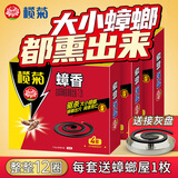榄菊蟑香驱蟑蚊香座蟑螂盘香小强灭杀蟑螂除蟑家庭厨房卧室酒店用 蟑香三盒12单圈