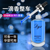 斯芭艺车载香薰补充液精油汽车香水除异味持久留香车用挂摆件100ml 冰河