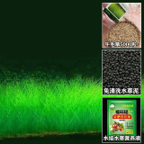 鱼缸水草种子生态玻璃瓶植物种籽孑水培阴性真草装饰造景套餐懒人 牛毛水草5000粒+营养液+水草专用泥500g