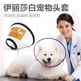 大猫日记 伊丽莎白圈猫咪狗狗项圈脖圈头套防舔防咬罩驱虫伊莉莎白护脖软圈颈圈耻辱圈手术绝育后用品 6号（适合2-3斤狗狗 4-6斤小猫）
