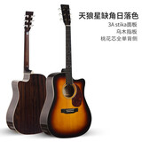 RECORDING KING录音之王 全单吉他入门进阶民谣吉它 全实木全单品牌吉他 41英寸【美系全单】TSC-VS