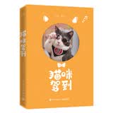 猫咪驾到 附赠手账+明信片+便签本+贴纸（套装5件）