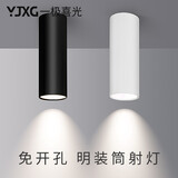 一极喜光（YIJIXIGUANG）明装led筒灯COB明装射灯 北欧吸顶式背景墙灯展厅创意酒吧台灯具 白色12W (高20*径7.3cm) 自然光(4000k)