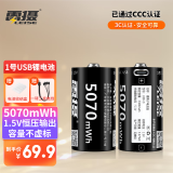 雷摄（LEISE）【3C认证】USB-D 1号/D型/1.5V/Type-C锂电池5070mWh( 2节)盒装 恒压大容量 适用:燃气灶/热水器等