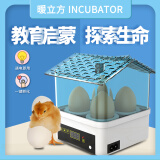 暖立方全自动孵化器小型家用孵化机实验孵化箱智能芦丁孵蛋器鸡鸭鹅鸽 【教育启蒙】4枚半自动孵化器