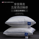TRIUMPHHILL 五星级酒店3层靠枕芯羽绒鹅毛大抱枕靠垫腰枕芯沙发靠垫芯无气味 贵族白 45cm*45cm 含枕芯 不含套 一个价