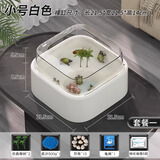 最萌乌龟缸家用造景创意新款亚克力带晒台生态小型龟盆鱼缸乌龟饲养缸 小号【21.5*21.5*14】套餐一