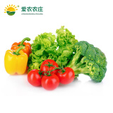 爱农 有机蔬菜套餐 季度 约5.5kg/箱/次 配送13箱