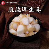 老坛子活泡菜袋装 什锦泡菜 四川眉山泡菜东坡活泡菜 方便菜即食下饭菜 活泡菜脆脆洋生姜500g*2袋