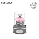 諾誓ROSEONLY星座独角兽抱抱龙永生花玫瑰花音乐球女友生日情人节礼物 甜心熊-音乐球-钟罩-粉色
