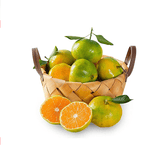 树熟云南无核蜜橘约500g