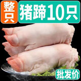 顺丰10只土猪蹄新鲜速冻散养土猪整只带筋猪脚前后蹄随机猪肉生鲜 带筋猪蹄10只