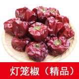 云上川西四川干辣椒微辣中辣特辣二荆条小米椒魔鬼椒特香香辣2024年新货 中微辣特香灯笼椒500克