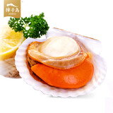 獐子岛 鲜汁半壳扇贝(超大号)520g 6只  蒜蓉调料包 虾夷扇贝 烧烤海鲜